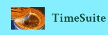 TimeSuite Software